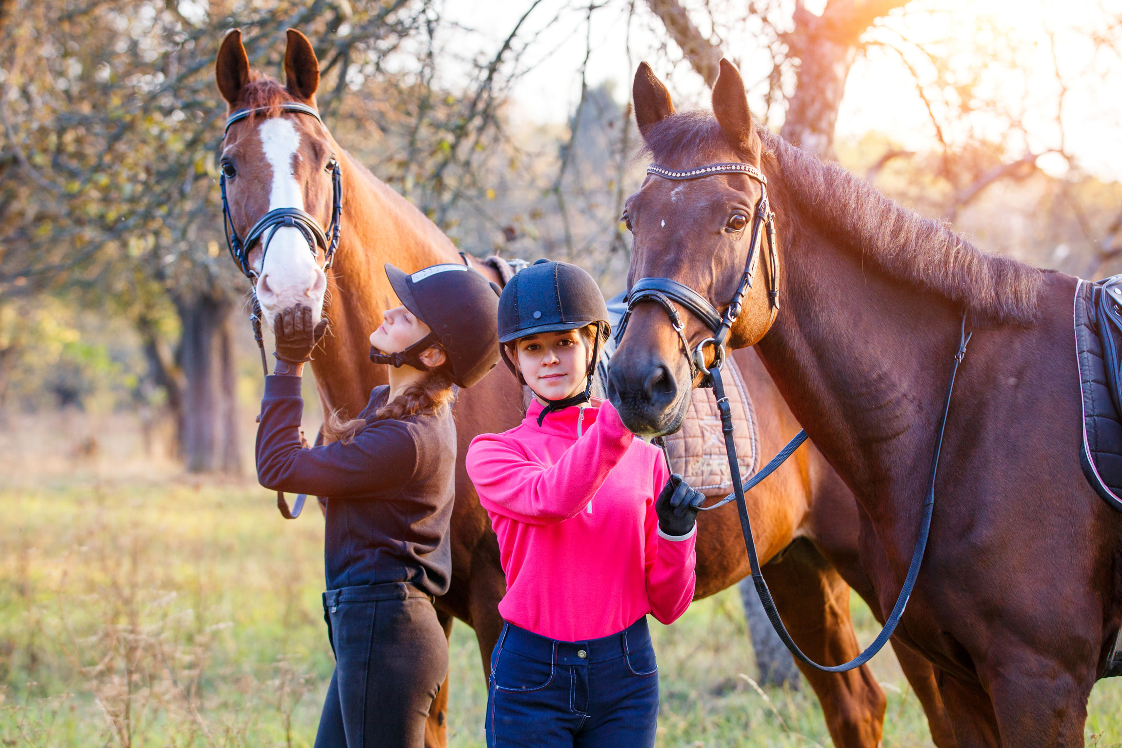 Everything You Need to Know About Equestrian College Scholarships Part 2