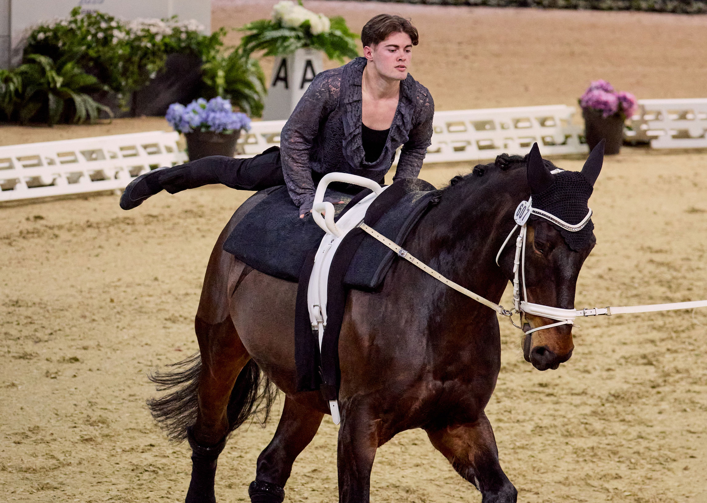 Jabet and Goldjunge: A Flawless Vaulting Performance