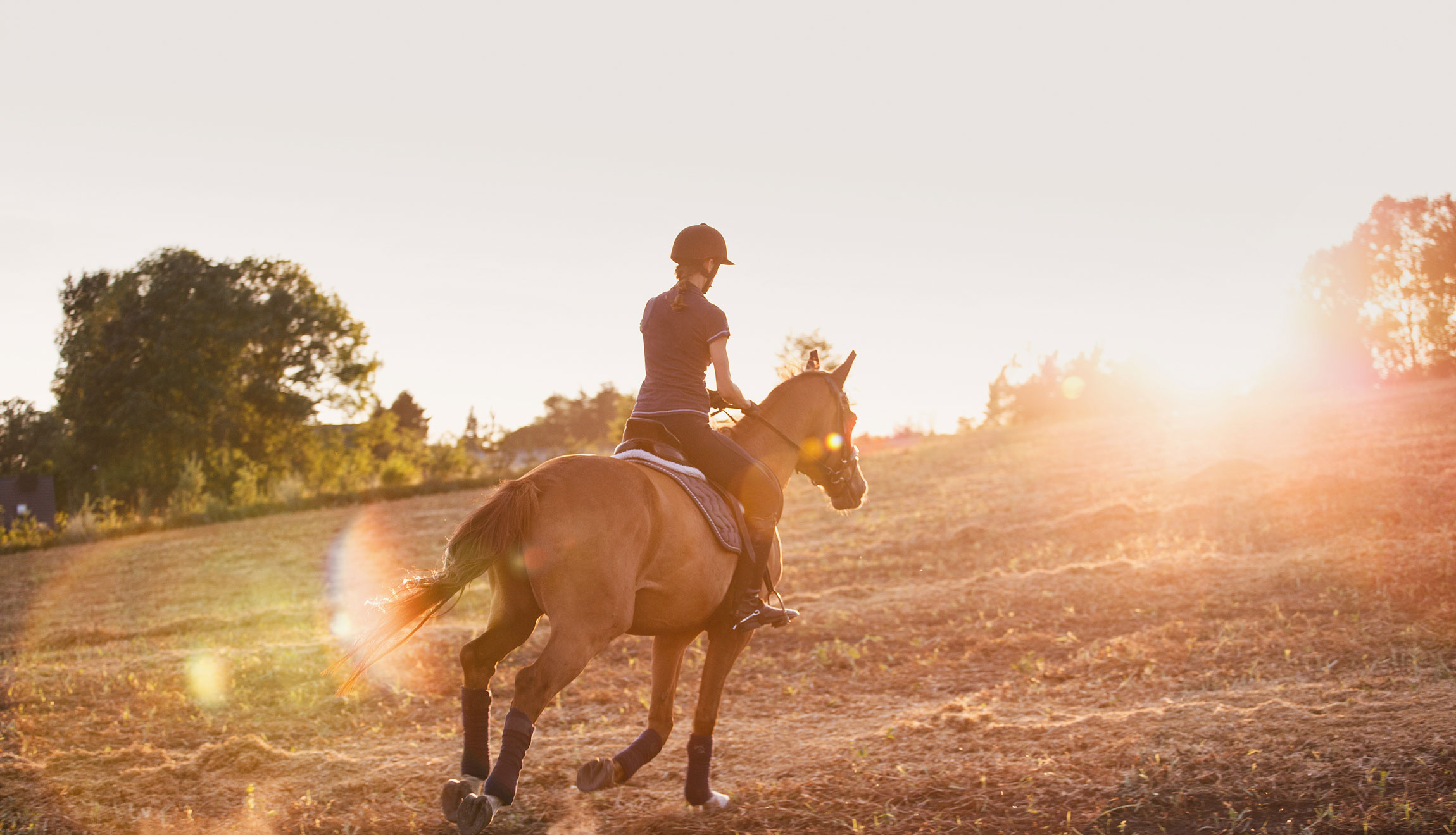 新品人気 ブランケット・クッション・スリッパ > クリッパン／KLIPPAN > Horses on the hill、Horses go