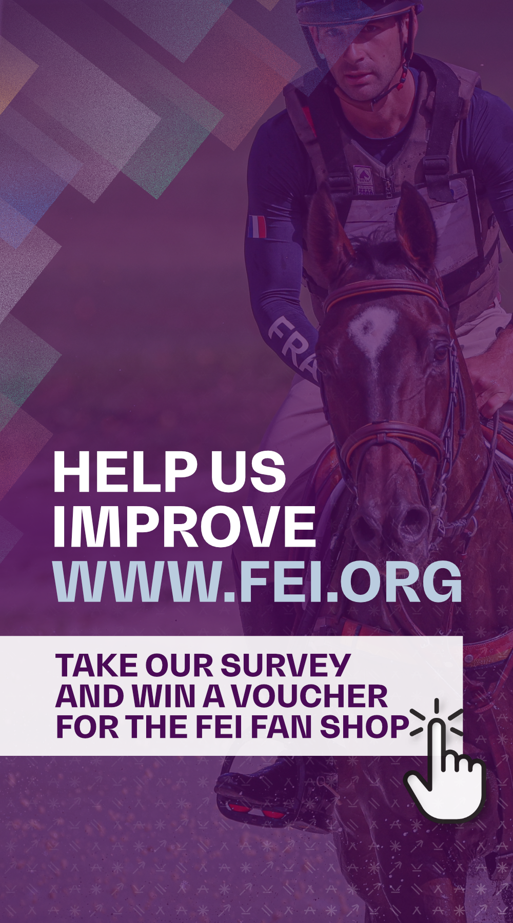 Breed Profile The Gypsy Cob