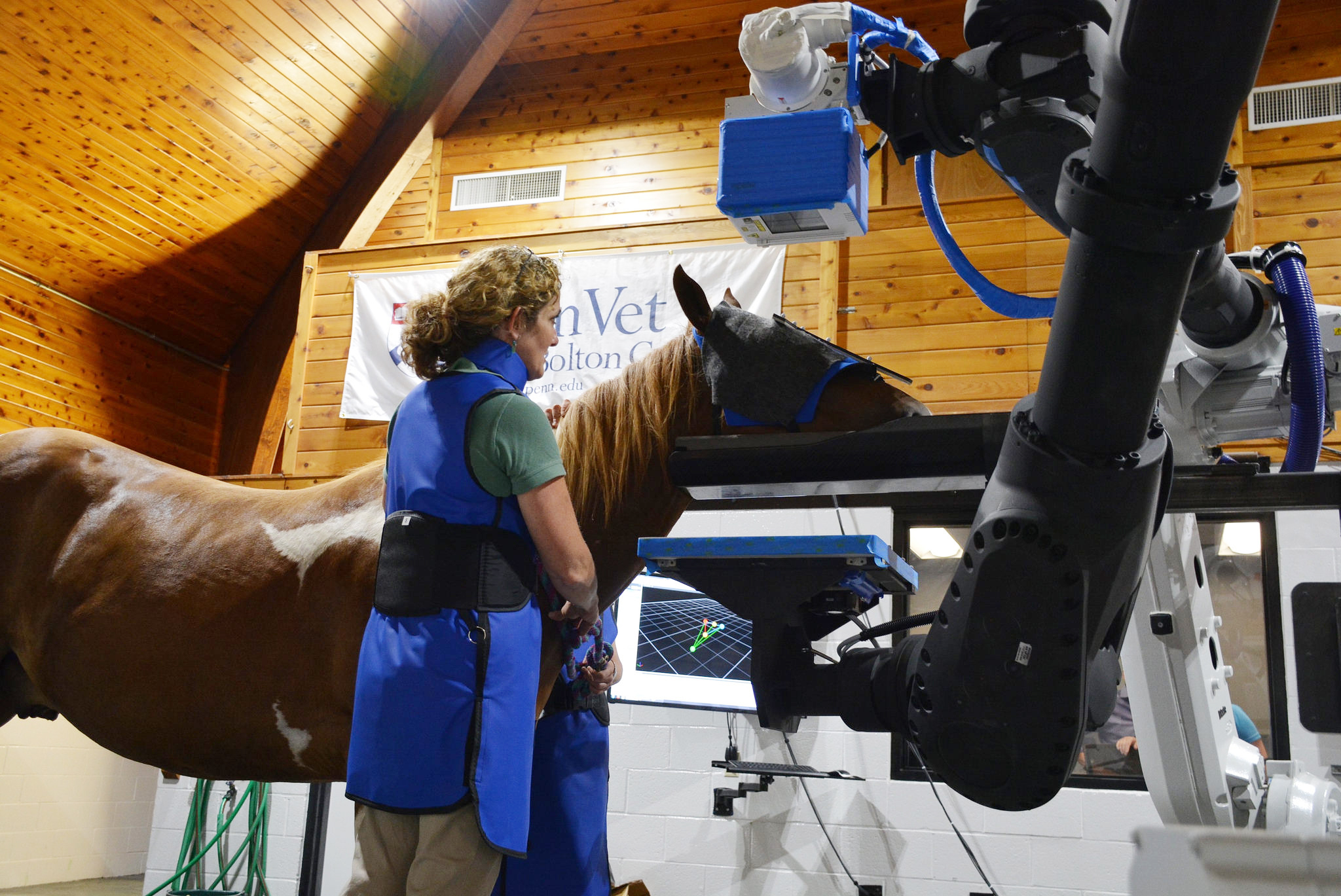 How Robots are Revolutionising Horses' Health