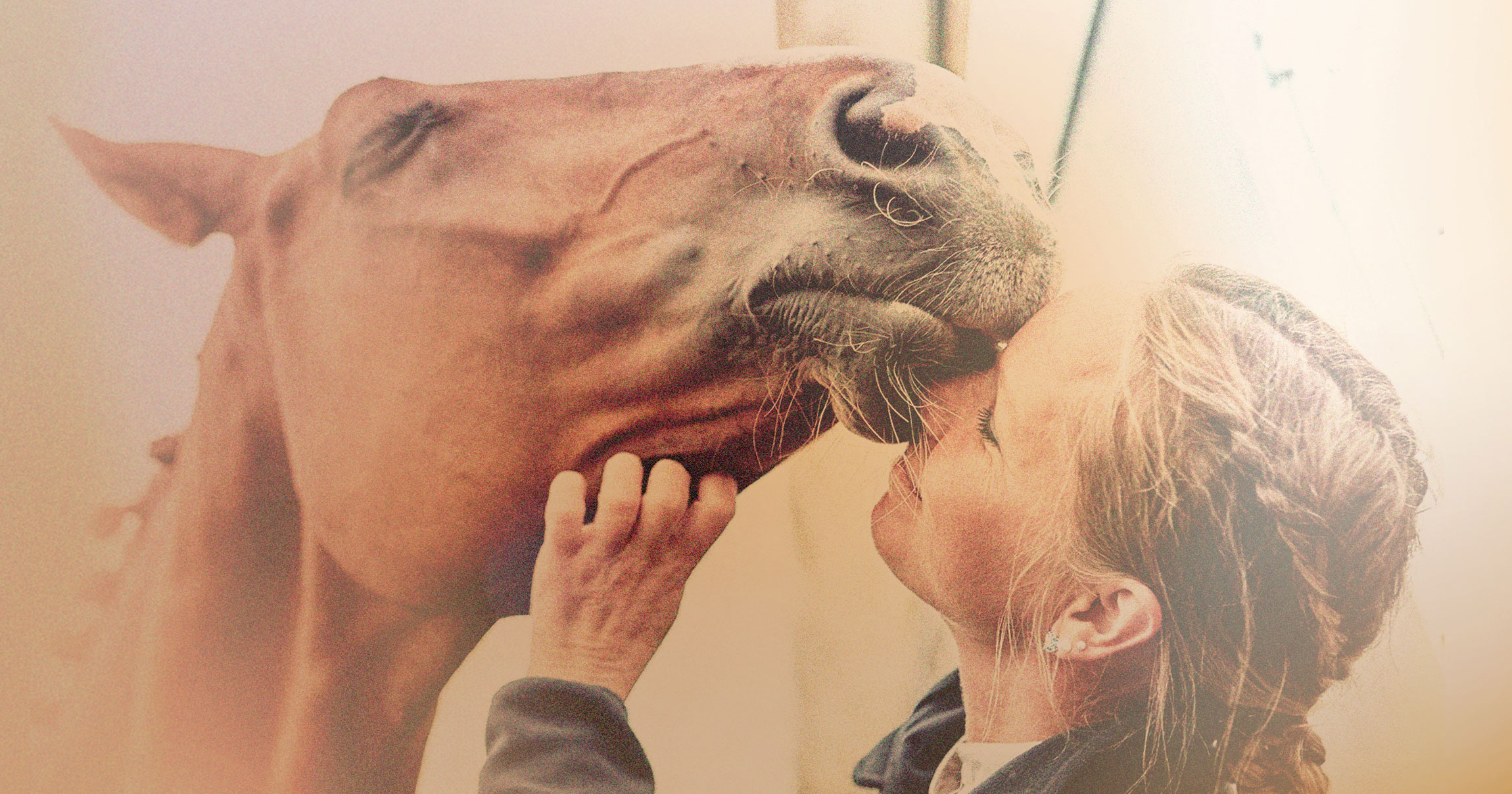 2020 Horse Human Stories Of The Year