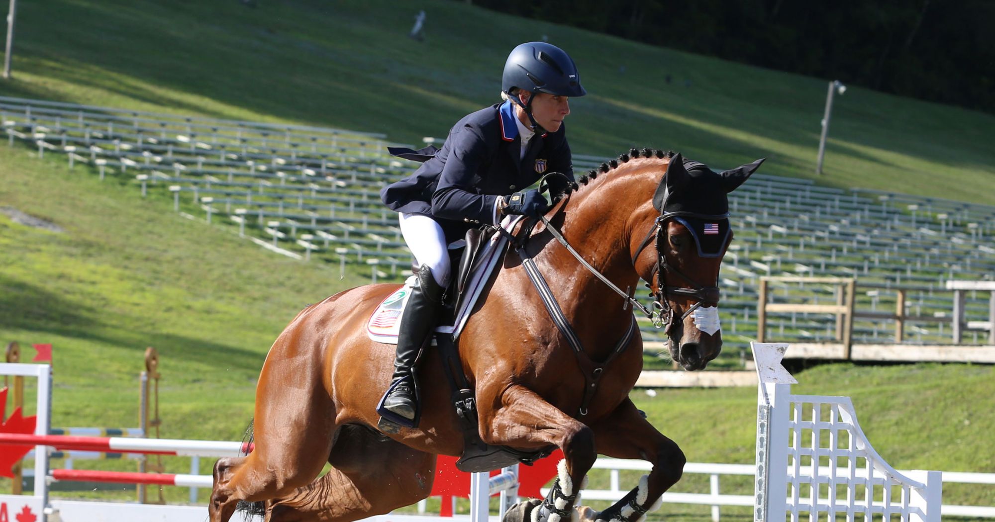 Horse of the Month: Miks Master C