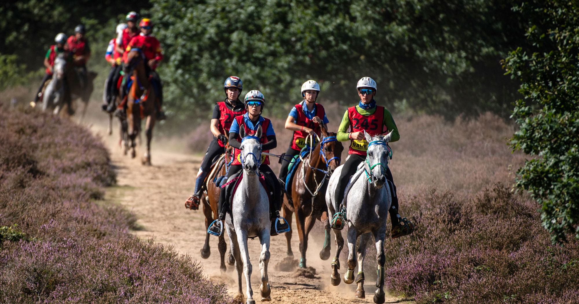 Endurance Aces Set for 2024 World Championship