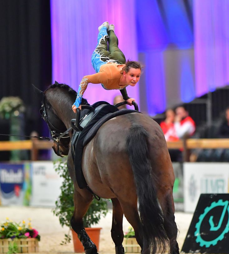 Vauiting Vaulting Through the Ages
