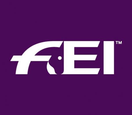 The FEI